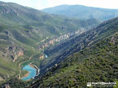 Sierra de Enmedio - Río Guadiela;arbol del tejo agencias de senderismo madrid rutas de senderismo c